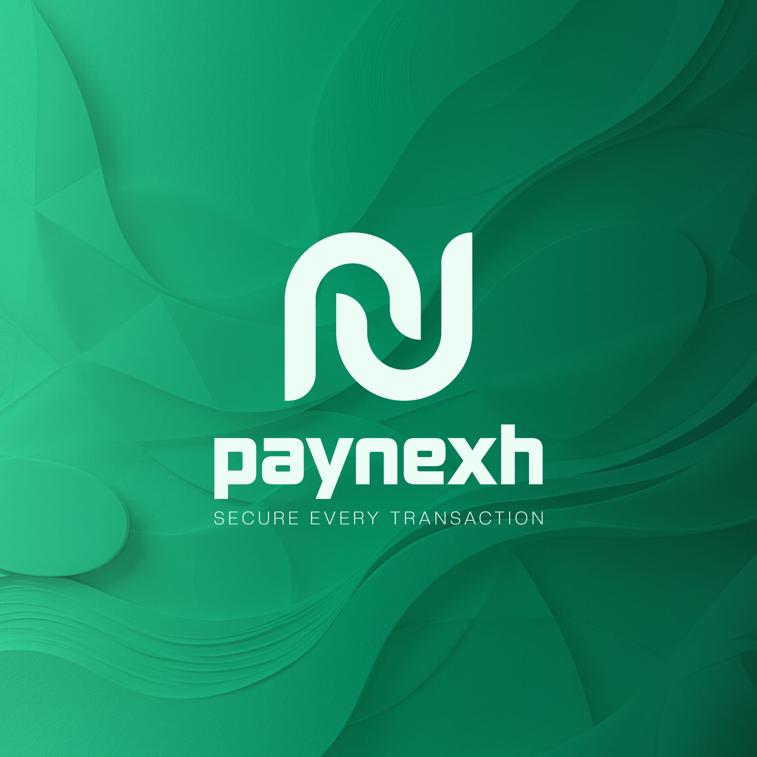 Paynexh payment brand identity in green and white